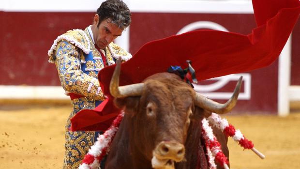 José Tomás, en Illumbe