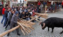 Un momento en el que el toro va a embestir al forcón que sujetan los mozos en la comarca portuguesa de Sabugal