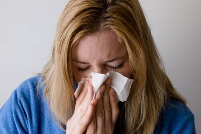 La epidemia de gripe de este año ha causado más muertes que la pandemia de 2009/ Pixabay