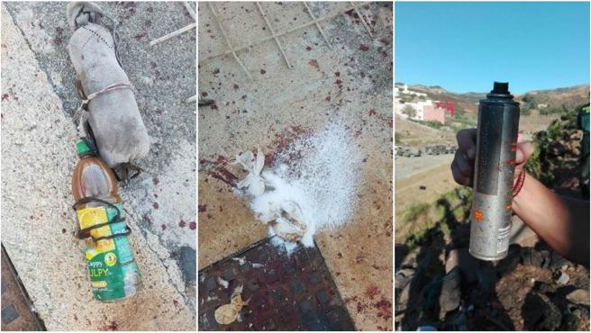 Los asaltantes usaron cal viva y lanzallamas caseros. /Foto: Guardia Civil.