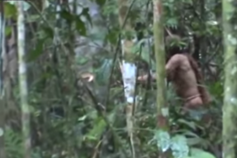 En el vídeo aparece talando un árbol con un hacha/The Gaurdian