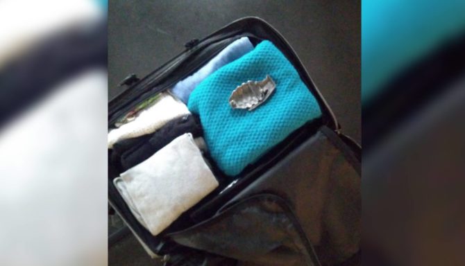 La hebilla en forma de granada encontrada en la maleta.