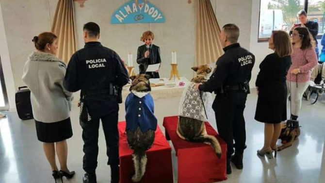 Un momento de la ceremonia.