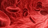 El colesterol puede provocar que la sangre no circule correctamente por las arterias.