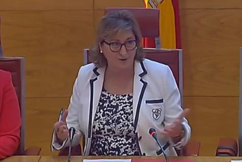 Comparecencia de Beatriz Albiac, presidenta de la Asociación de Prematuros de Aragón (Araprem), en la comisión del Senado
