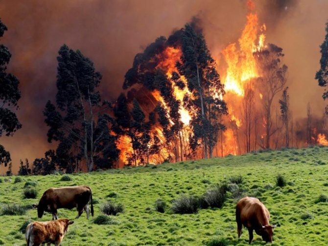 Incendio en las proximidades de Naves (Llanes, Asturias).