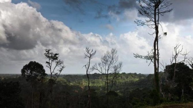 Los hechos ocurrieron en la zona rural del municipio brasileño de Camocin