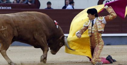 Roca Rey da un pase de rodillas.