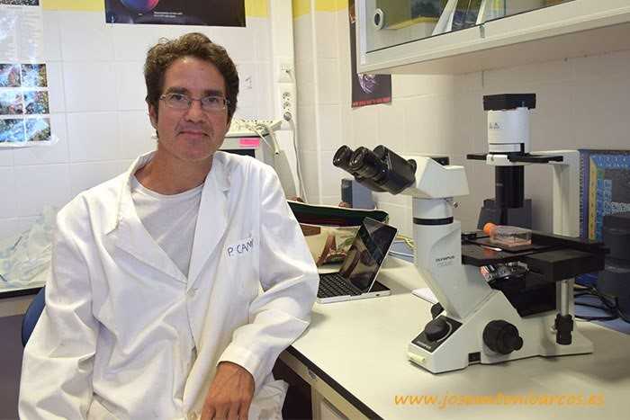 Continúa el debate sobre el grafeno en las vacunas. ¿Quién es Pablo Campra Madrid, el científico que dirige la investigación? – Alerta Digital