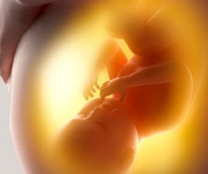 La voz que no puede hablar