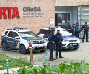 Animales sacrificados por un fallo evitable (Video comentario de Joaquín Abad)